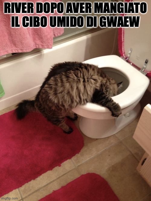 WhatsApp Image 2022-06-02 at 12.07.30 AM (1).jpeg