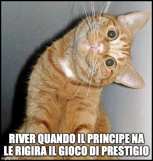 WhatsApp Image 2022-06-08 at 12.35.02 AM (1).jpeg