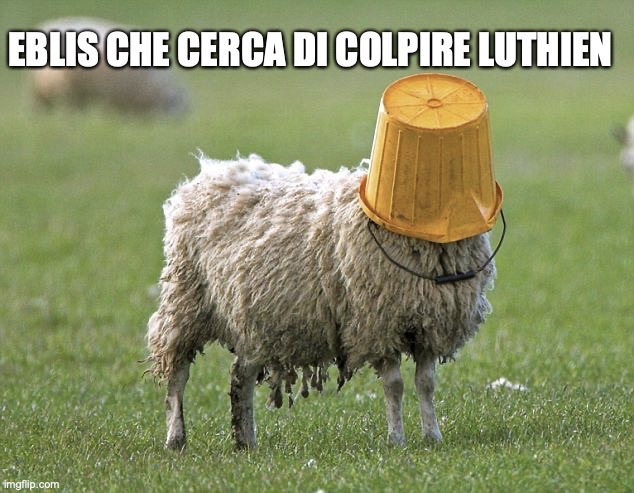 WhatsApp Image 2022-08-26 at 00.22.38.jpeg